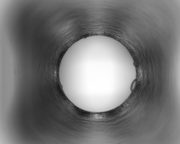 X0000094320522200711021115