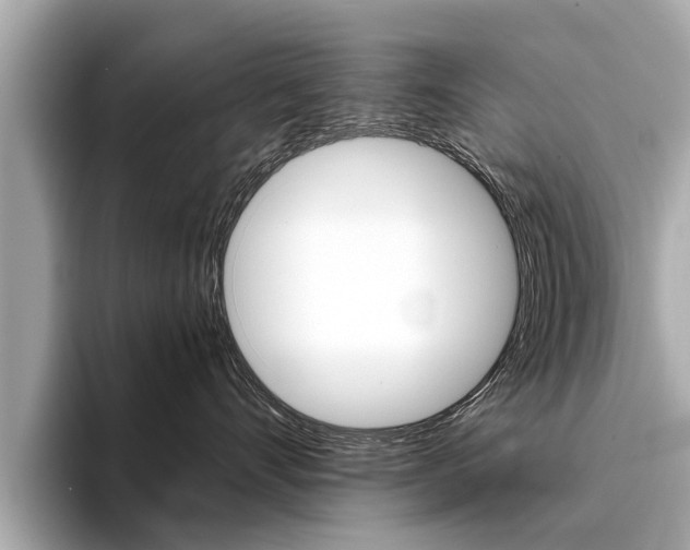 X0000094320528200711021115