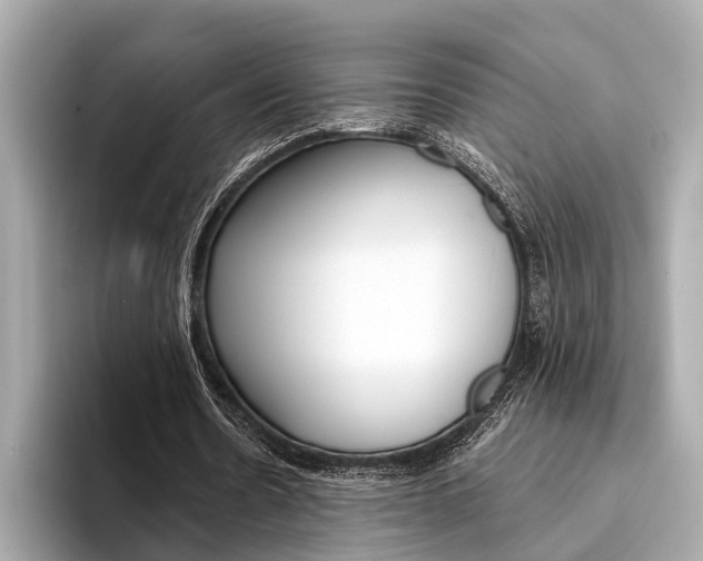 X0000094320530200711021114