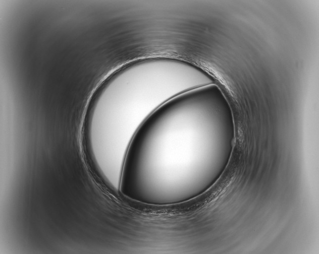 X0000094320532200711021114