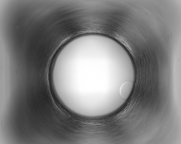 X0000094320534200711021114