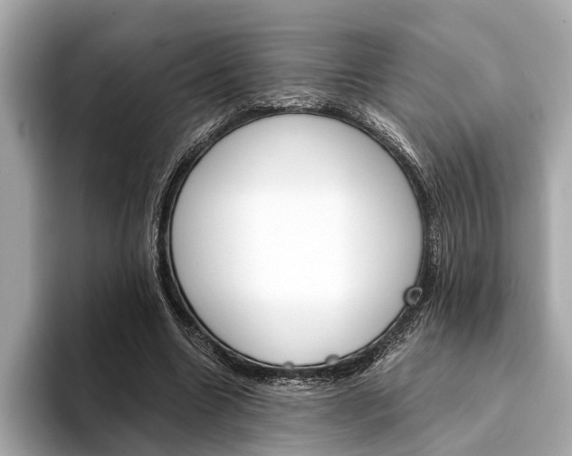 X0000094320538200711021114