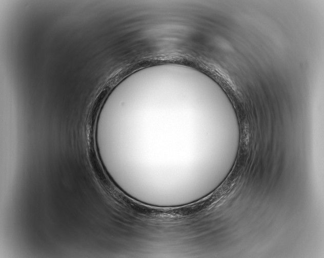 X0000094320542200711021114