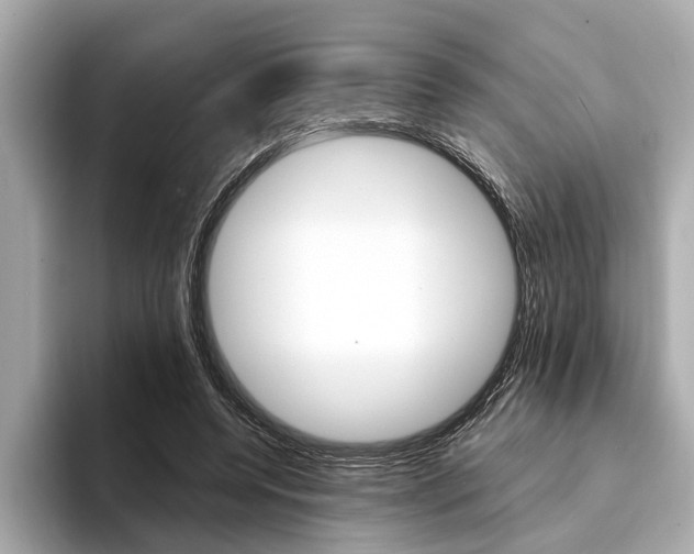 X0000094320544200711021114