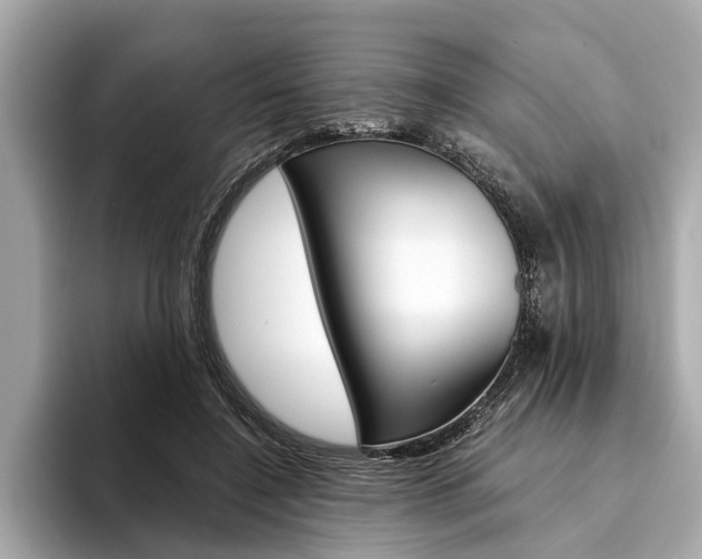X0000094320548200711021115
