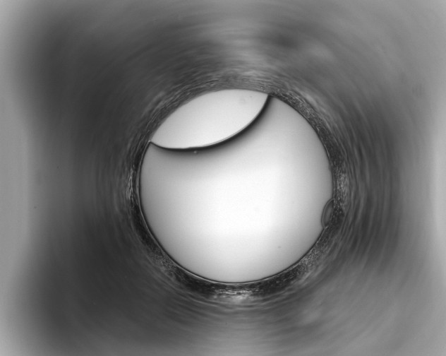 X0000094320554200711021115
