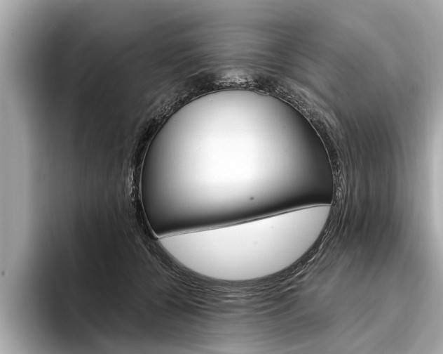 X0000094320560200711021115
