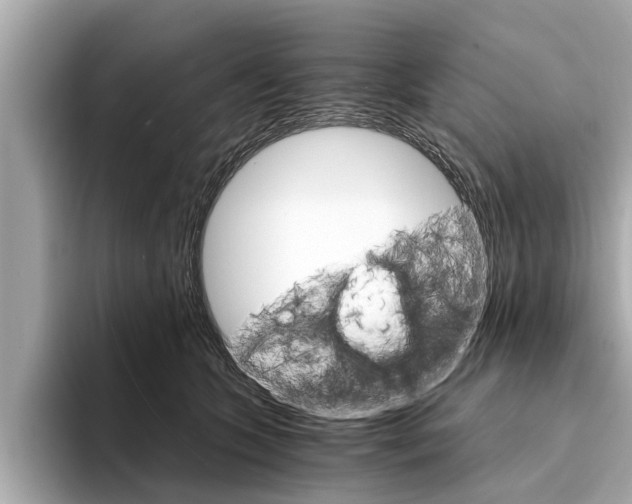 X0000094320563200711021115