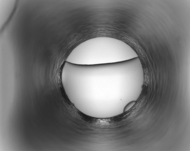 X0000094320573200711021115