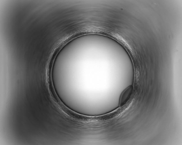 X0000094320581200711021114