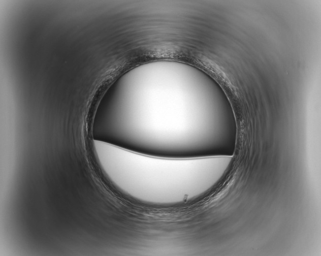 X0000094320589200711021114