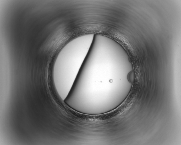 X0000094320590200711021114