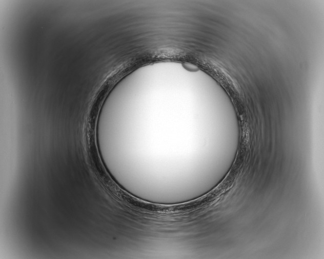X0000094320591200711021114
