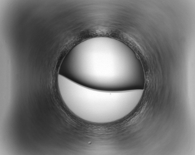 X0000094320593200711021114