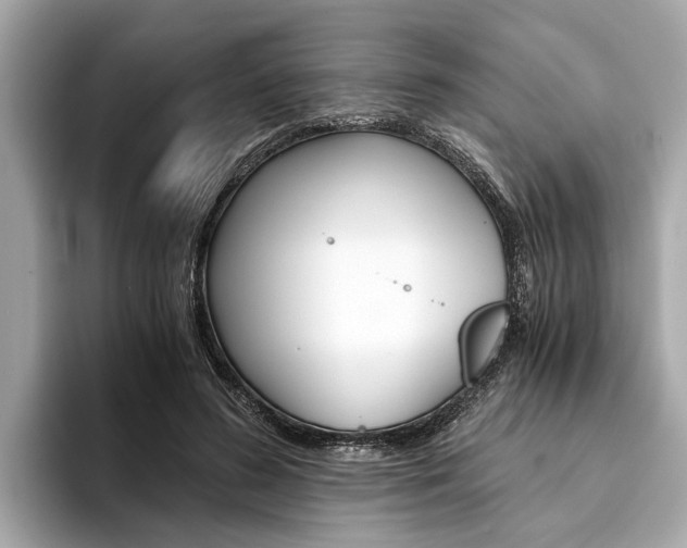 X0000094320596200711021114