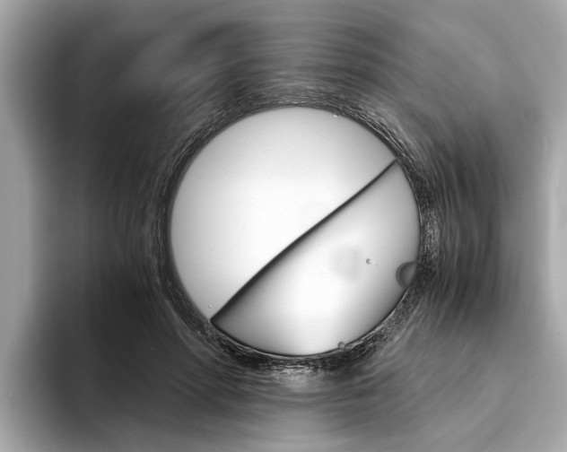 X0000094320598200711021114