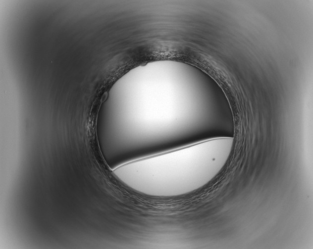 X0000094320601200711021114