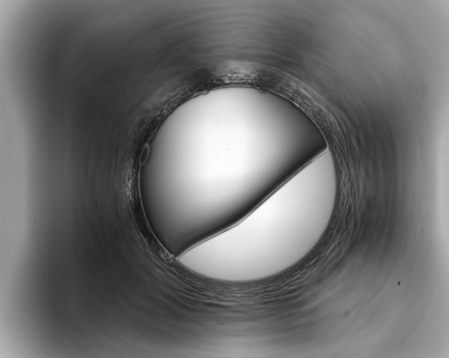X0000094320604200711021114