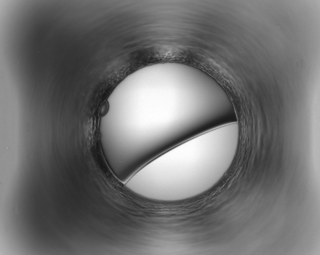 X0000094320605200711021114