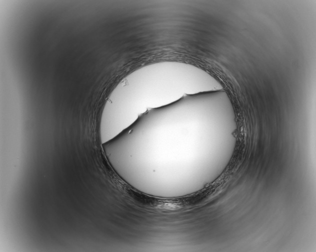 X0000094320610200711021114