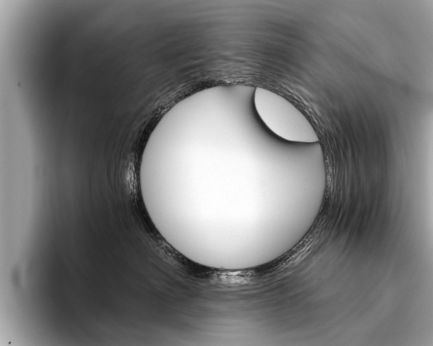 X0000094320622200711021114