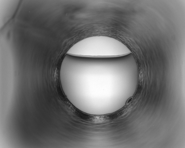 X0000094320623200711021114