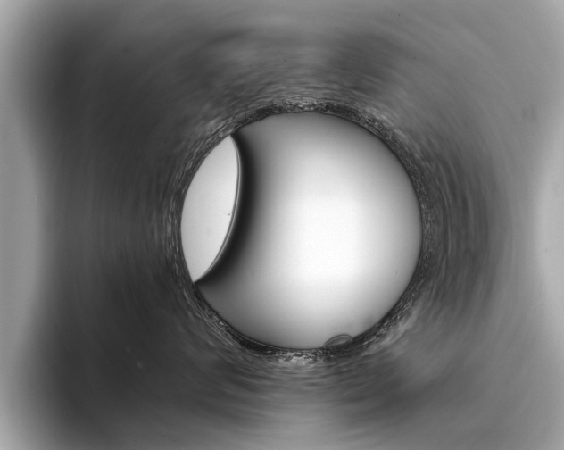 X0000094320624200711021114