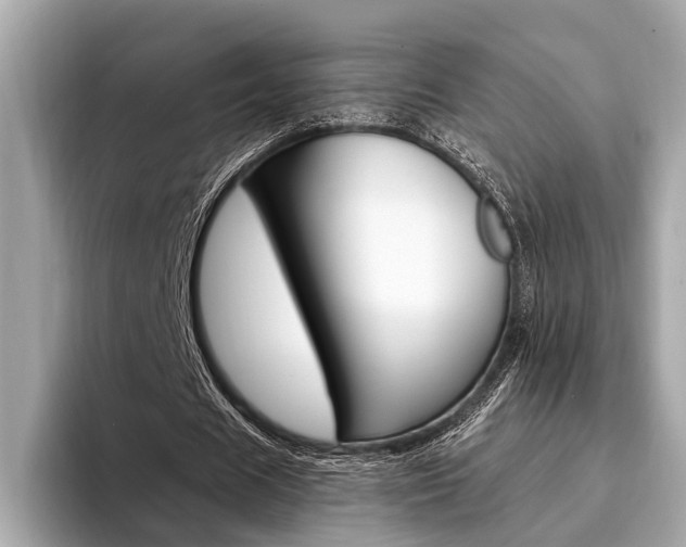 X0000094320625200711021113