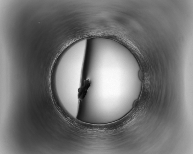 X0000094320626200711021113