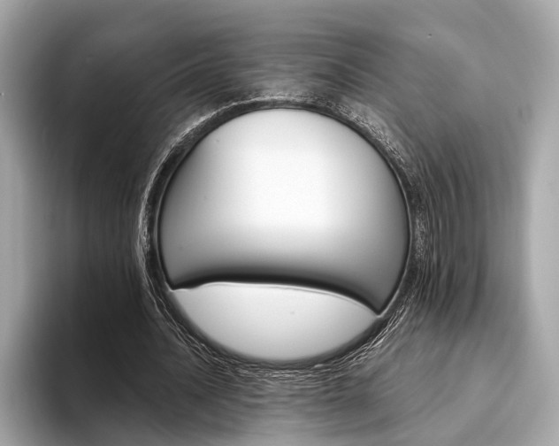 X0000094320628200711021113