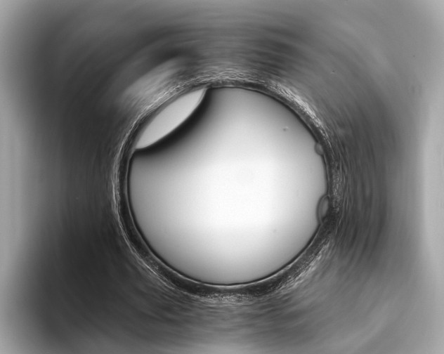 X0000094320629200711021113