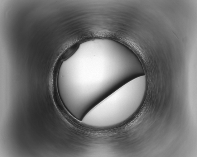 X0000094320630200711021113