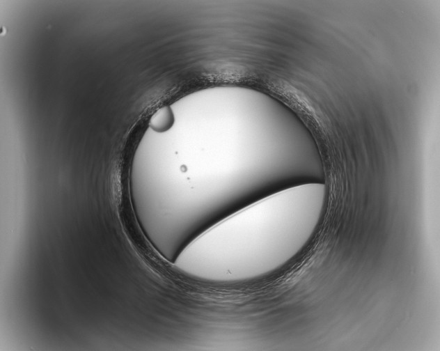 X0000094320638200711021113
