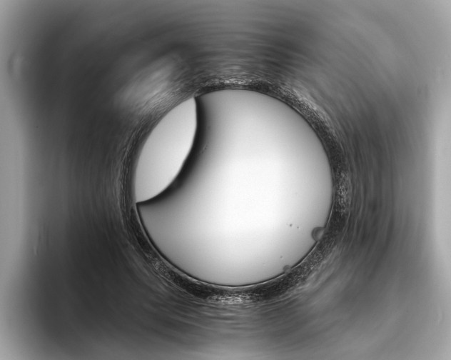X0000094320639200711021113