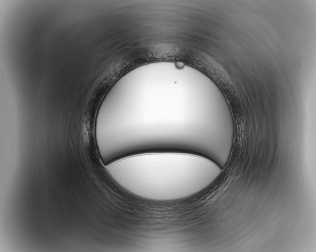 X0000094320644200711021113