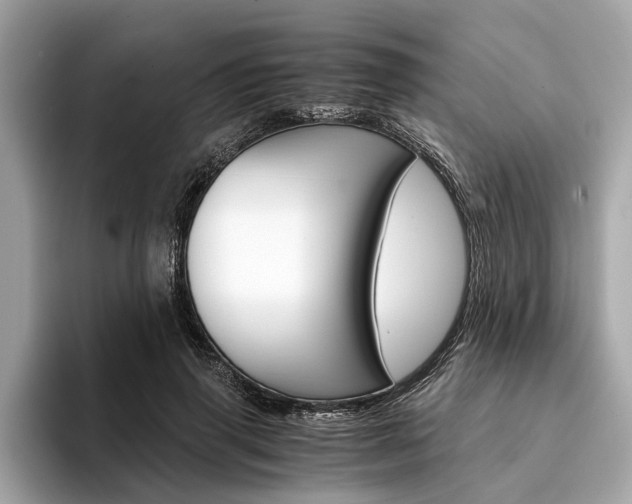 X0000094320645200711021113