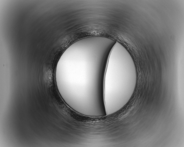 X0000094320646200711021113