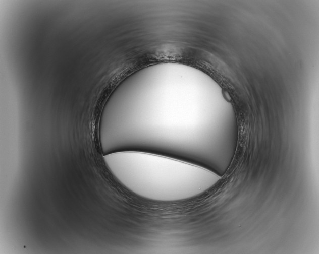 X0000094320652200711021113