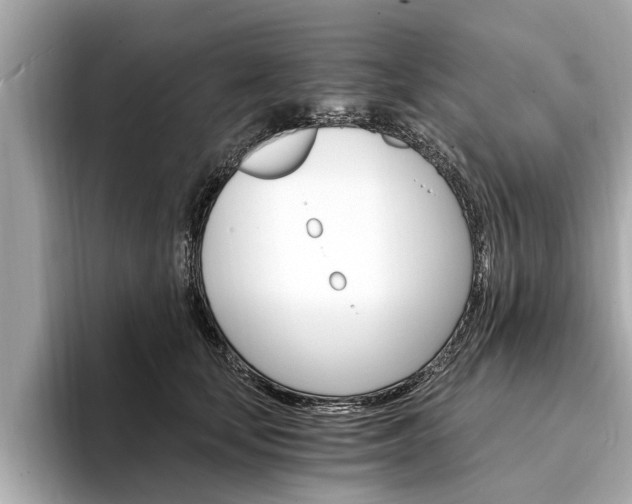 X0000094320659200711021114