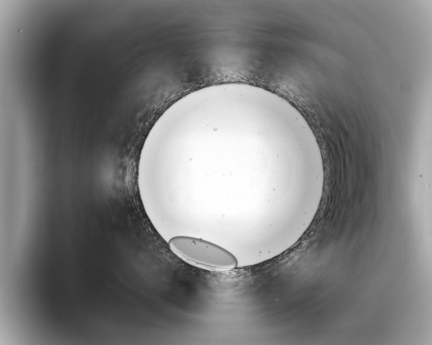 X0000094320672200711021114