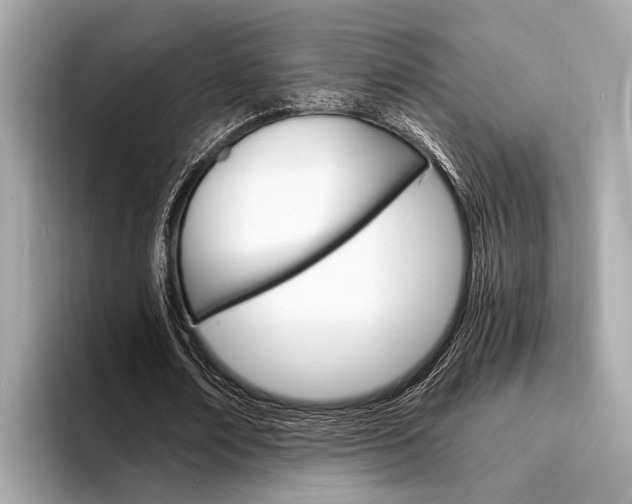 X0000094320674200711021113