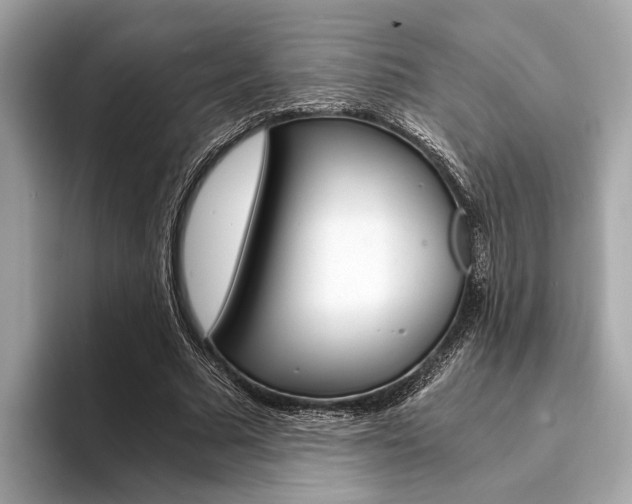X0000094320681200711021113
