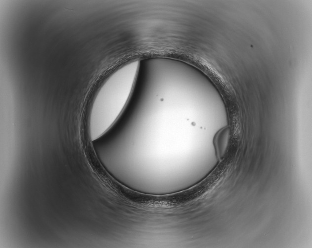 X0000094320685200711021113