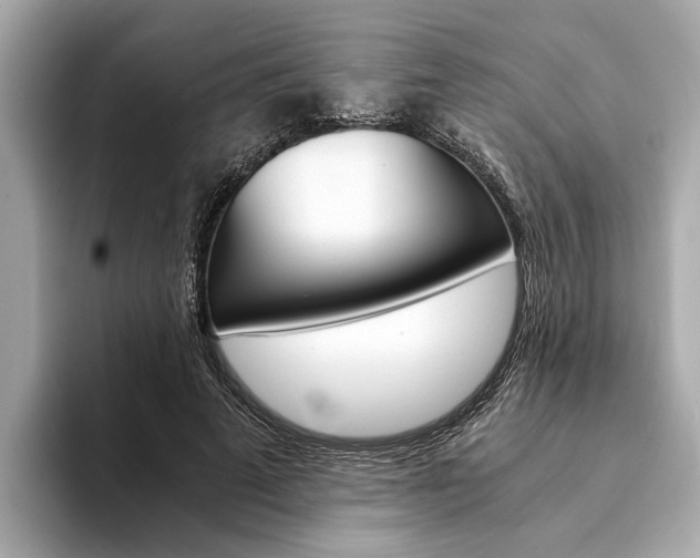 X0000094320689200711021113