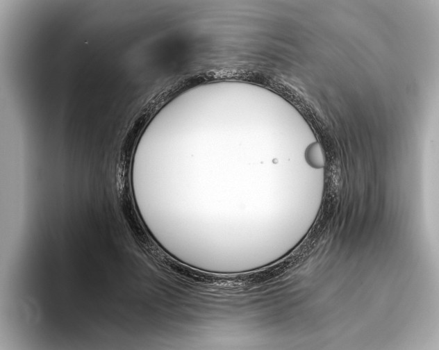 X0000094320691200711021113