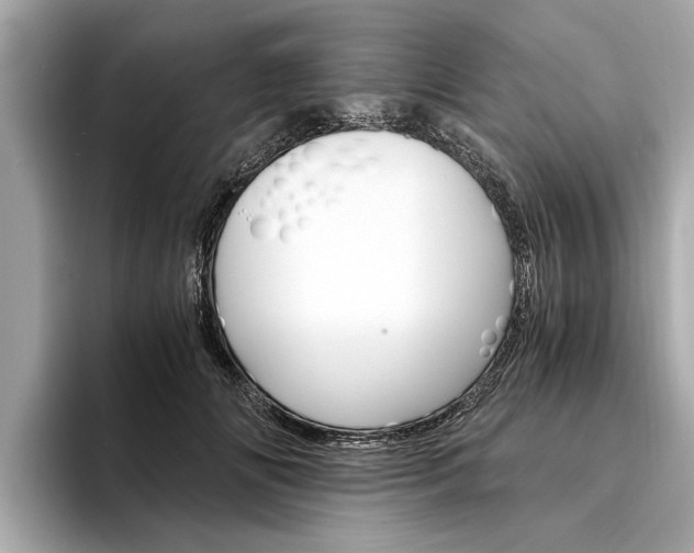 X0000094320702200711021113