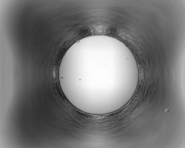 X0000094320709200711021113