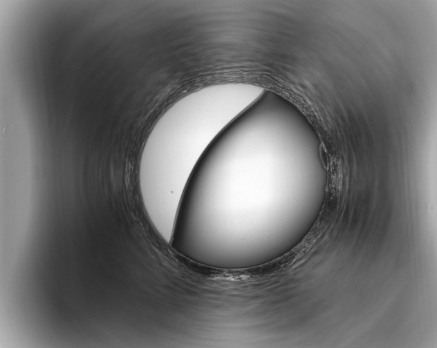 X0000094320712200711021113