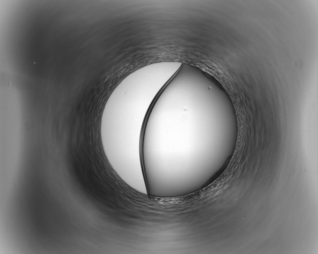 X0000094320720200711021113