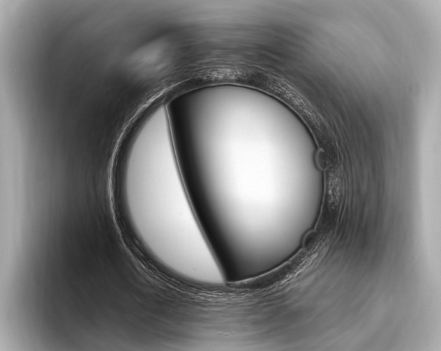 X0000094320722200711021112